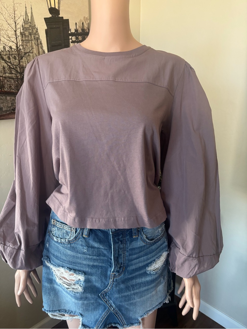 Zara Mauve Long Balloon Sleeve Crop Top